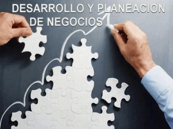 DESARROLLO D NEG GC